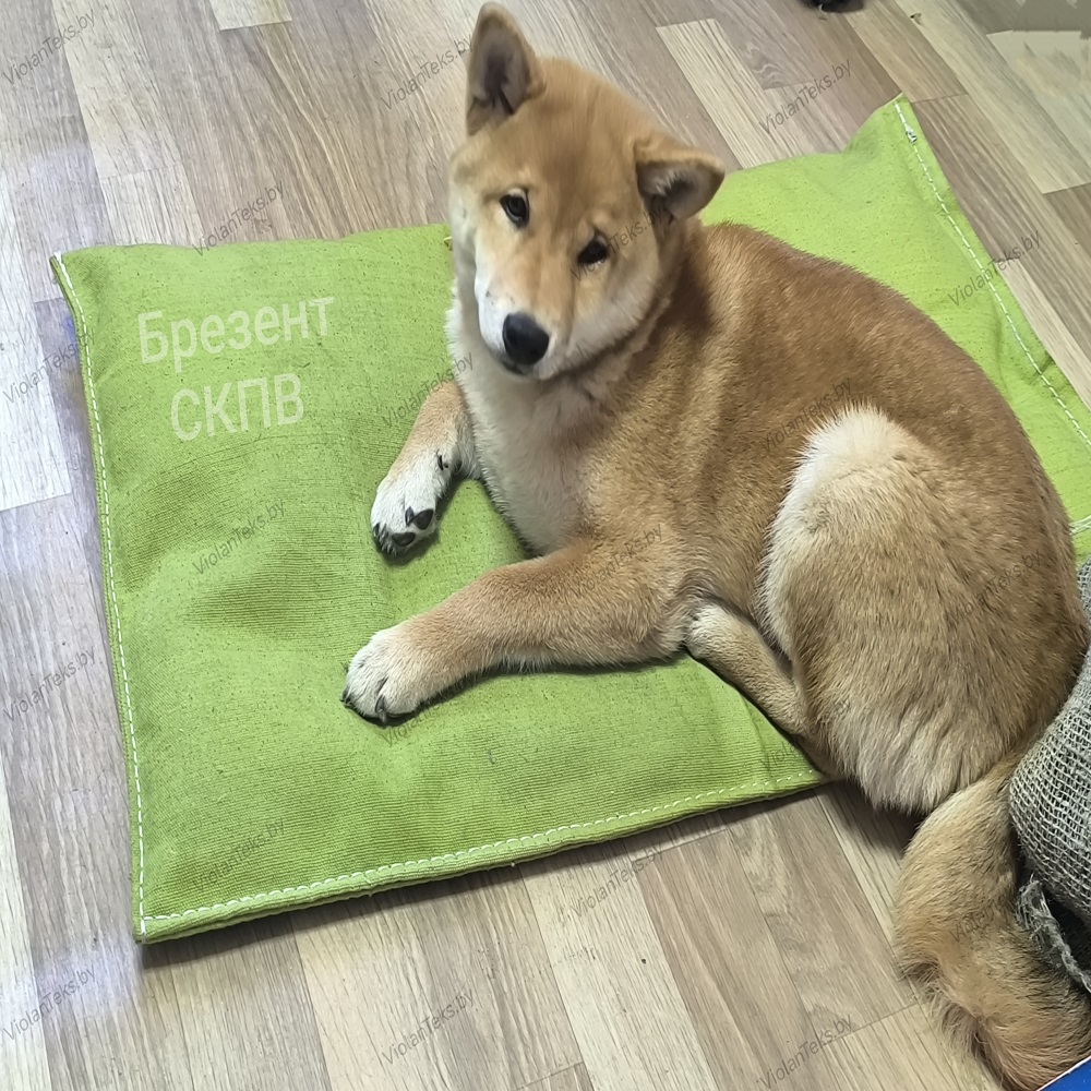 Изделия из брезента